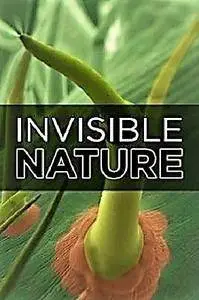 TV5 - Invisible Nature: Series 1 (2012)