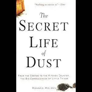 The Secret Life of Dust: From the Cosmos to the Kitchen Counter, the Consequences of Little Things [repost]