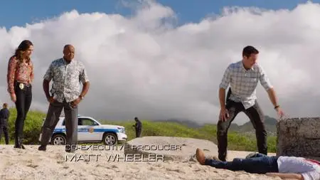 Hawaii Five-0 S09E20