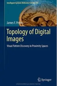 Topology of Digital Images: Visual Pattern Discovery in Proximity Spaces [Repost]
