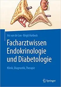 Facharztwissen Endokrinologie und Diabetologie: Klinik, Diagnostik, Therapie