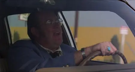 Straight Time (1978)