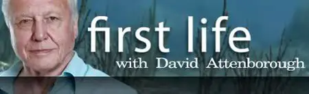 David Attenboroughs First Life (2014)
