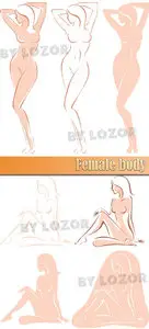 Female body
