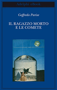 Il ragazzo morto e le comete - Goffredo Parise (Repost)