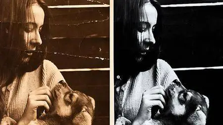 Lynda - Learning Photo Restoration with Photoshop