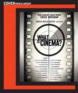 What Is Cinema? (2013)