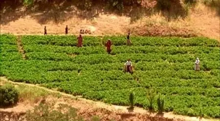 Abbas Kiarostami-Bad ma ra khahad bord ('The Wind Will Carry Us') (1999)