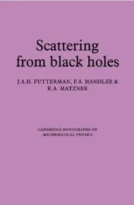 Scattering from Black Holes [Repost]