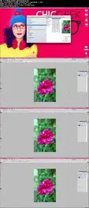 Photoshop Basic Series 1: Making Beautiful Images like a Pro