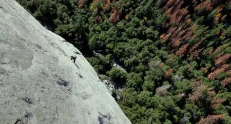 Free Solo (2018)