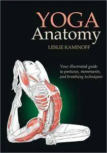 Yoga Anatomy (repost)
