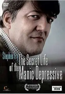 Stephen Fry: The secret life of the manic depressive - by Ross Wilson (2006)