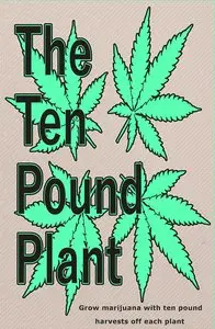 The Ten Pound Plant: Grow marijuana with ten pound harvests off each plant