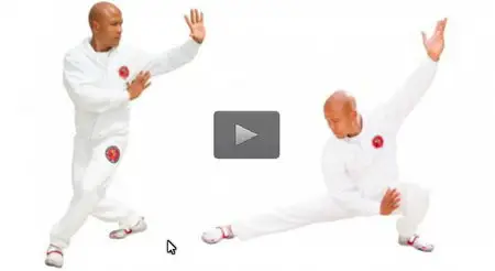 Tai Chi - Chi Kung