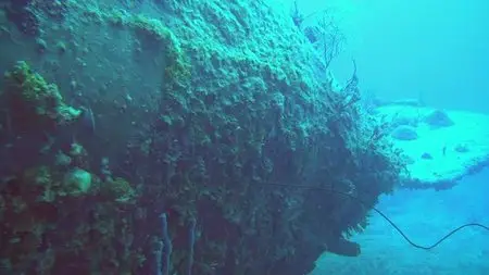 Adventure Bahamas - Mysterious Caves And Wrecks (2012)