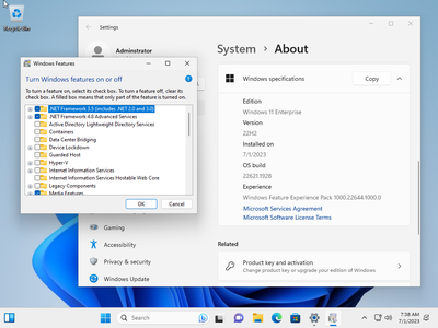 Windows 11 Enterprise 22H2 Build 22621.1928 (No TPM Required) Preactivated Multilingual