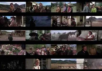 Chisum (1970)