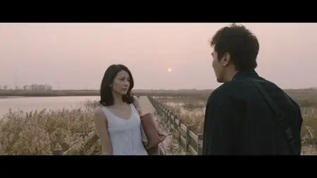 Caught in the Web (2012)