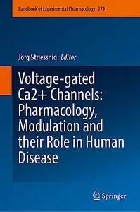 Voltage-gated Ca2+ Channels: Pharmacology, Modulation and their Role in Human Disease