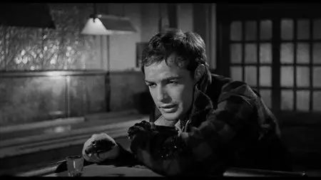 On the Waterfront (1954) [The Criterion Collection #647]