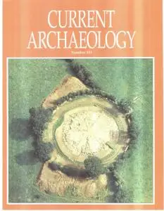 Current Archaeology - Issue 134