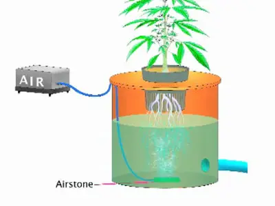 Jorge Cervantes' Ultimate Grow [repost]