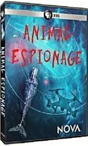 PBS - NOVA: Animal Espionage (2019)