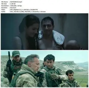 The Mountain II (2016)