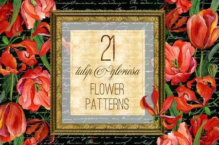 CreativeMarket - Tulip & gloriosa watercolor patterns