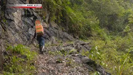 NHK - Zhangjiajie's Miracle Stone Forest (2017)