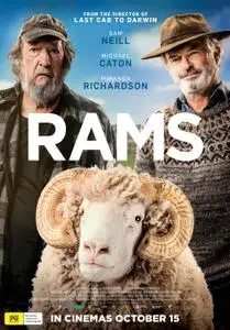 Rams (2020)