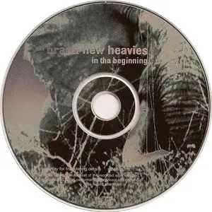 The Brand New Heavies - In Tha Beginning... (1999)