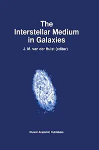 The Interstellar Medium in Galaxies