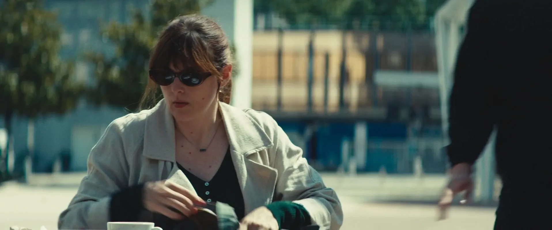 Rapaces / Vultures (2025)