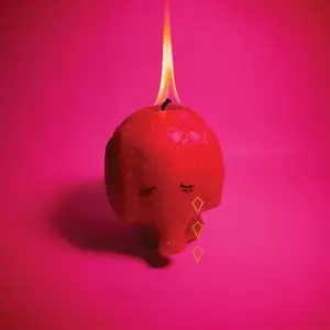Arcade Fire - Pink Elephant (2025) [Official Digital Download 24/96]
