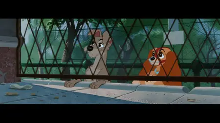 Lady and the Tramp (1955)