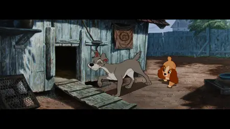 Lady and the Tramp (1955)