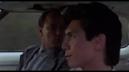 Disorganized Crime (1989)