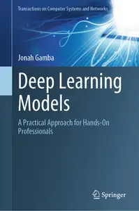 Deep Learning Models: A Practical Approach for Hands-On Professionals (Transactions on Computer Systems and Networks)