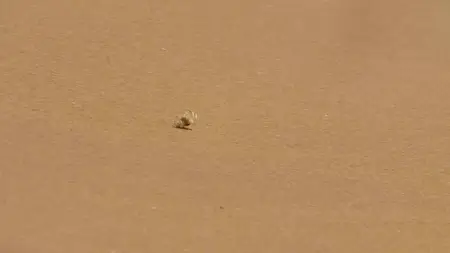 Tiny World S02E06