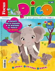Focus Pico - Maggio 2025