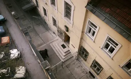 Angst (1983) [4K Restoration]