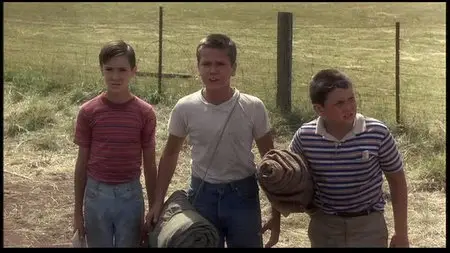 Stand by Me (1986) Special Edition