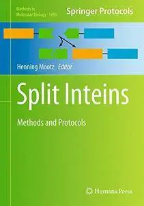 Split Inteins: Methods and Protocols