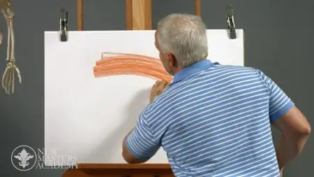 New Masters Academy - Art Anatomy for Beginners (2020)