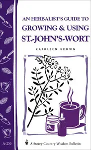 An Herbalist's Guide to Growing & Using St. John's Wort