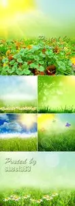 Stock Photo - Spring Nature