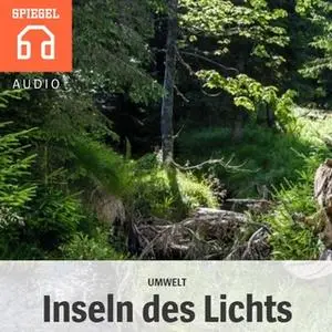 «Umwelt: Inseln des Lichts» by DER SPIEGEL,Deutsche Blindenstudienanstalt e.V.