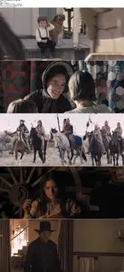 The Homesman (2014)